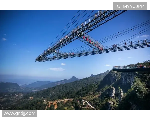 极限运动的挑战与激情陈敏分享个人生涯与心路历程