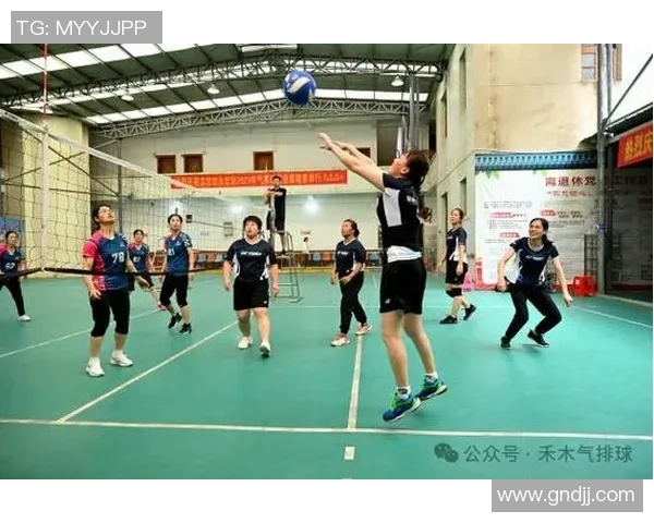 排球新手必看：轻松掌握配合技巧的入门指南与实用建议